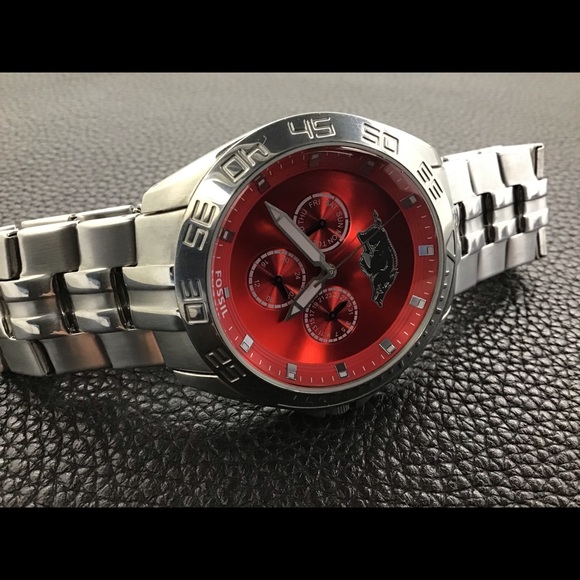 FOSSIL ~ Arkansas Razorbscks - Picture 4 of 9